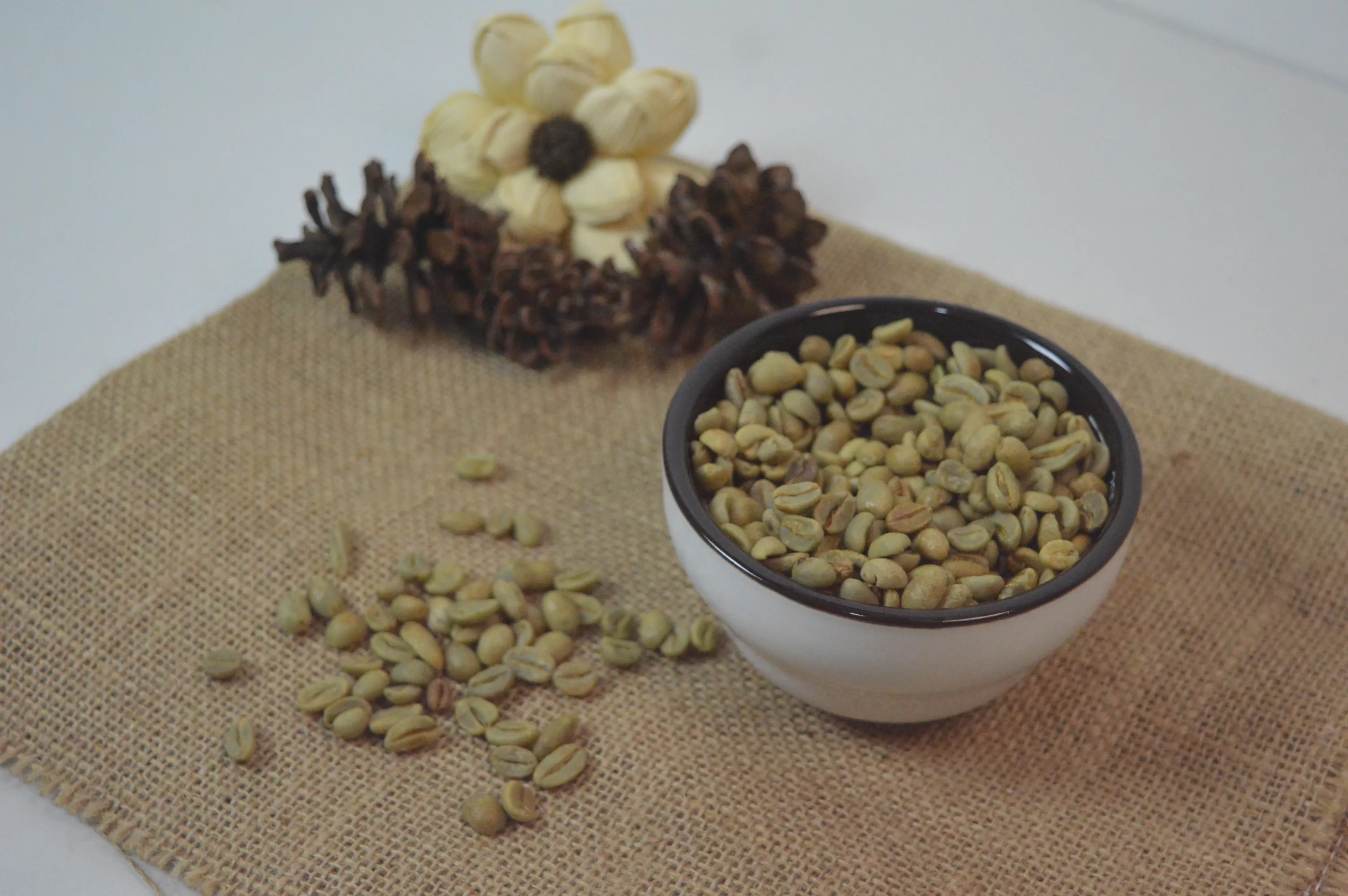 Kemewahan Kopi Gayo